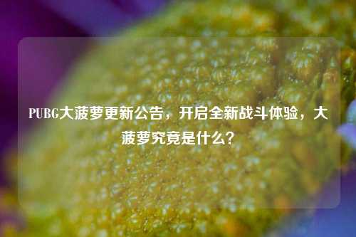 PUBG大菠萝更新公告,开启全新战斗体验,大菠萝究竟是什么?