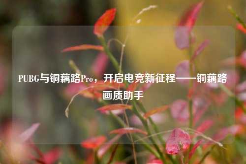PUBG与铜藕路Pro,开启电竞新征程——铜藕路画质助手
