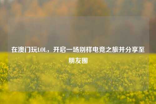 在澳门玩LOL,开启一场别样电竞之旅并分享至朋友圈