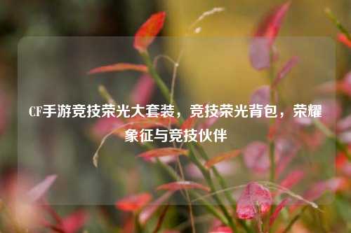 CF手游竞技荣光大套装,竞技荣光背包,荣耀象征与竞技伙伴