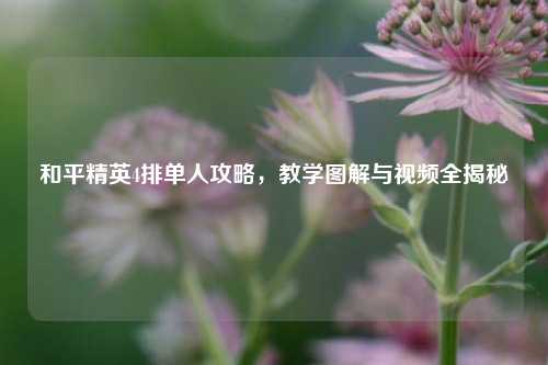 和平精英4排单人攻略，教学图解与视频全揭秘