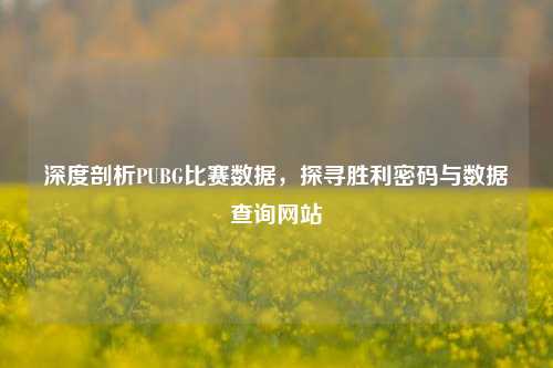 深度剖析PUBG比赛数据,探寻胜利密码与数据查询网站