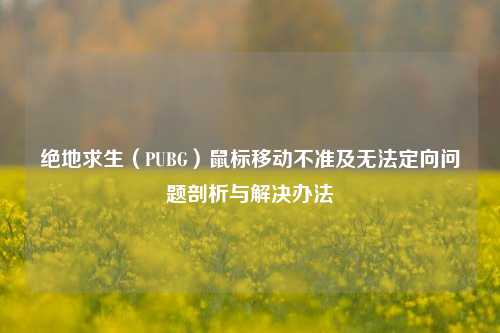 绝地求生(PUBG)鼠标移动不准及无法定向问题剖析与解决办法