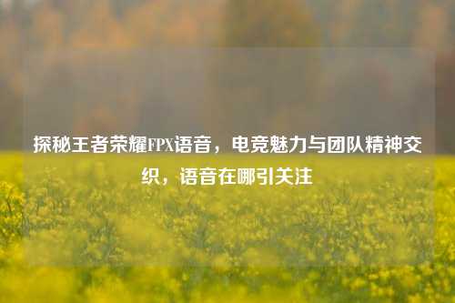 探秘王者荣耀FPX语音,电竞魅力与团队精神交织,语音在哪引关注