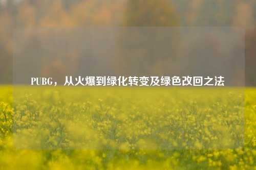 PUBG,从火爆到绿化转变及绿色改回之法