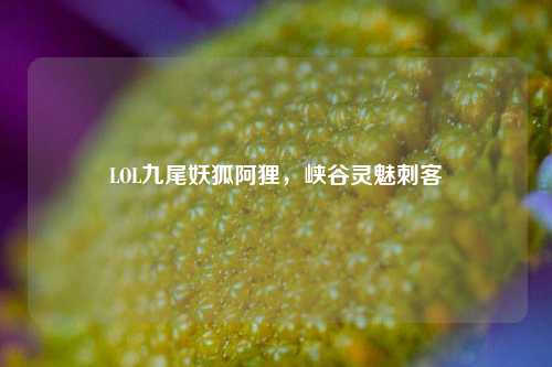 LOL九尾妖狐阿狸,峡谷灵魅刺客